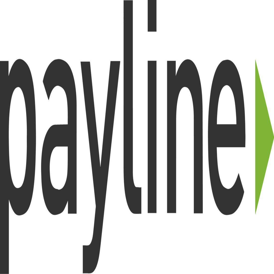 Payline-Logo