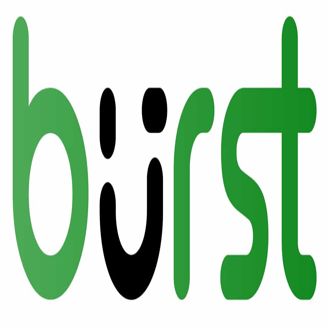 Burst ist eines der besten datenschutzkonformen Wordpress-Analysetools