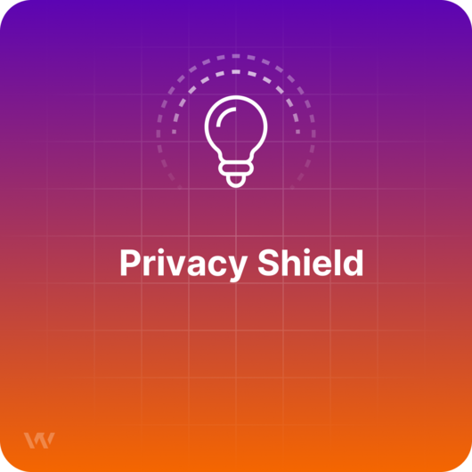 Besucheranalyse-Glossar - Was ist das Privacy Shield?